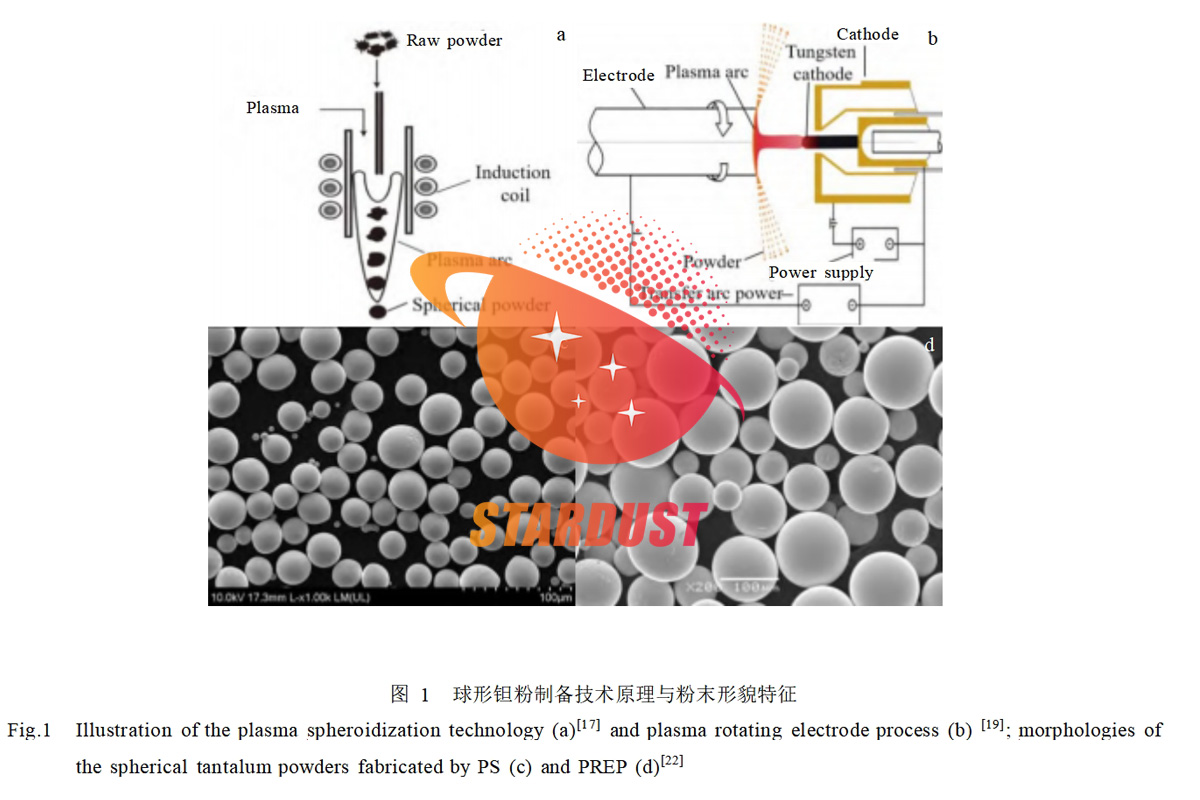 Advances in additive manufacturing of tantalum and porous tantalum