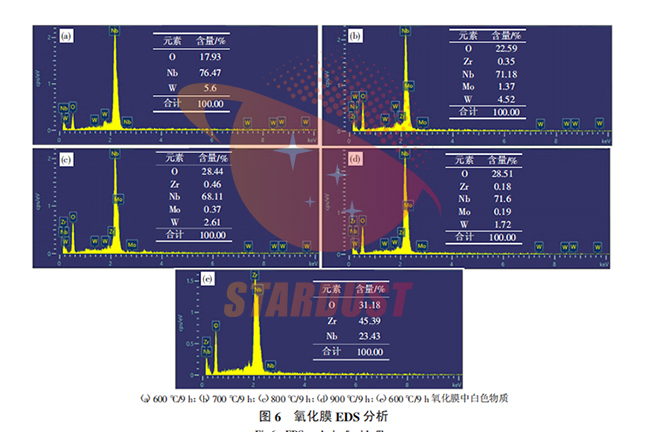 Study on oxidation behavior of NbW alloy at 600-900℃