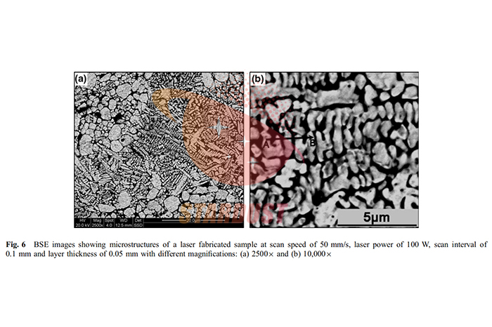 Research on Process and Microstructure Formation of W-Ni-Fe Alloy Fabricated by Selective Laser Melting