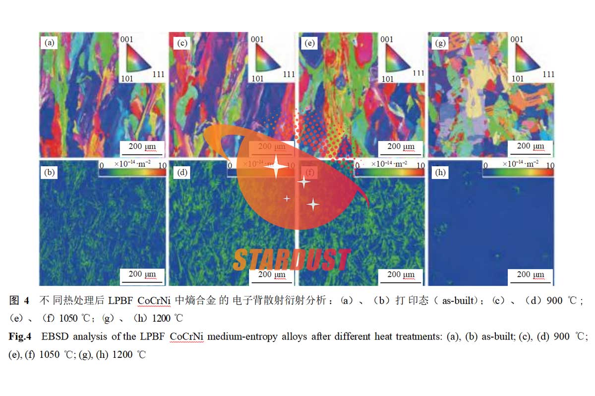 Enhancing the corrosion resistance of medium-entropy alloys (MEAs) in CoCrNi through microstructural regulation in laser powder bed fusion