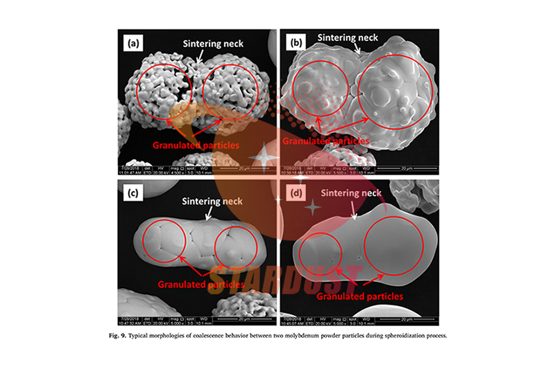 Spheroidization of a granulated molybdenum powder by radio frequency inductively coupled plasma